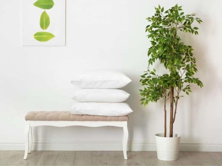 Can Ottoman Be Used for Sitting? (Answered!)