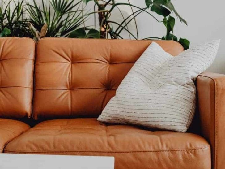 What Color Throw Pillows Go with a Gray Couch? (Explained)