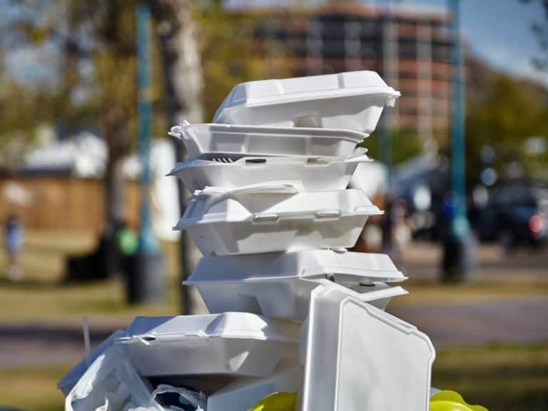 Is Styrofoam Flammable? (All You Need to Know)