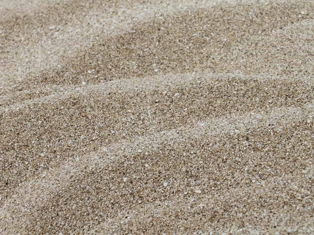 How Much Sand Is Needed for Turtle Sandbox? (Answered)