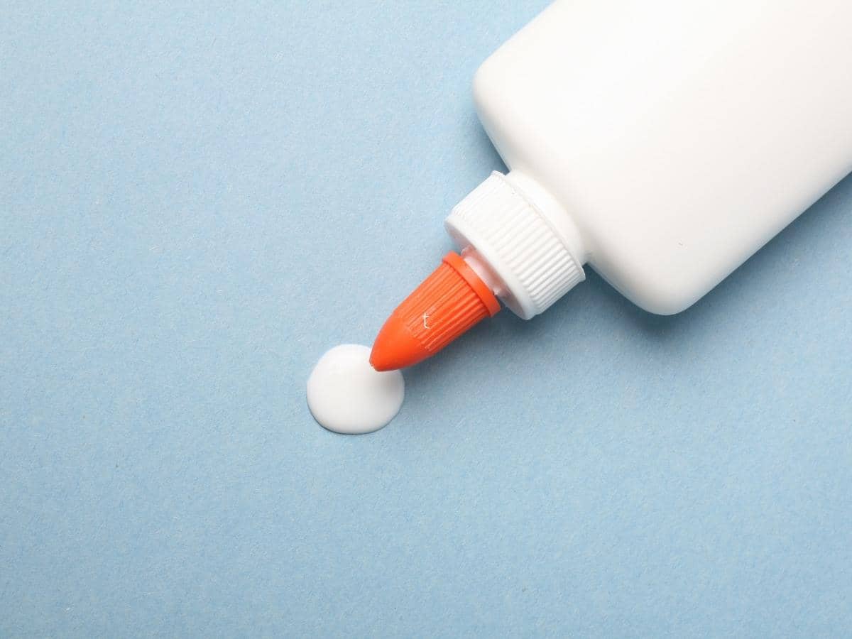 Is Elmer’s Glue PVA? (All You Need to Know)