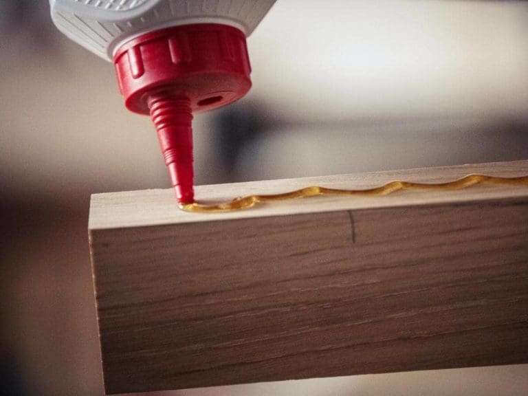 Does Wood Glue Dry Clear? (Answered)