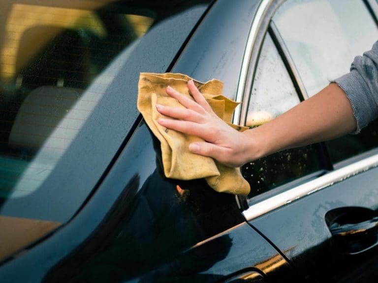 Does Fabuloso Attract Bugs? (Roaches, Ants, Flies, Etc.)