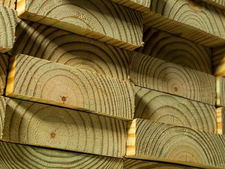 Does Pressure Treated Wood Rot? (Read This First!)