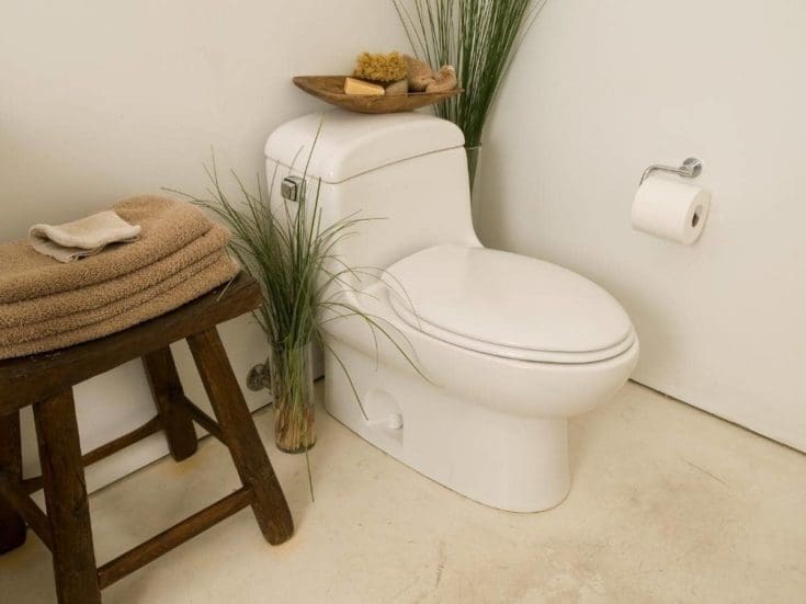 Toilet Flapper Closes Too Soon? (With Solution)