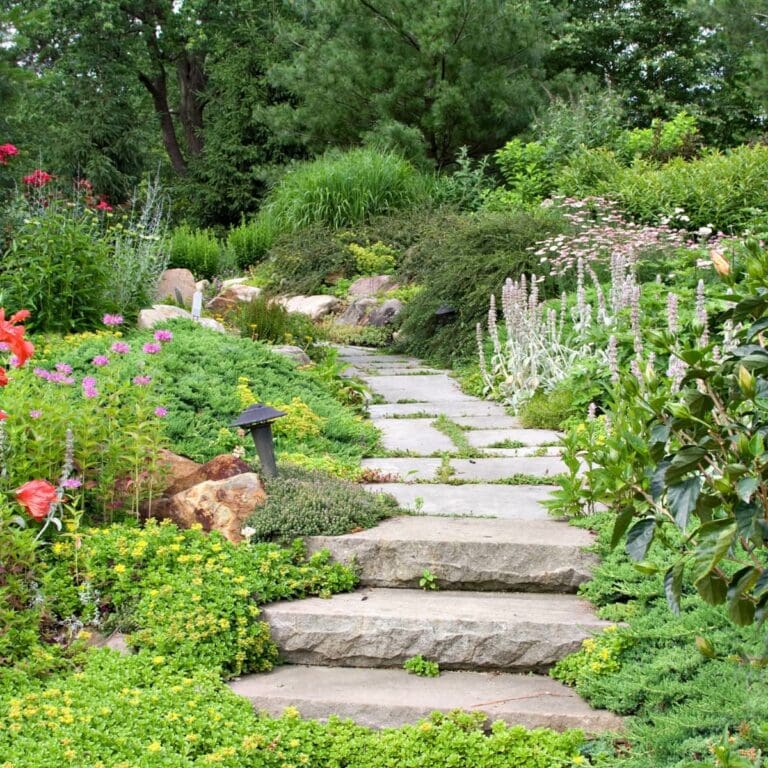 Transform Your Garden with These 15 Enchanting Edging Ideas for Trees