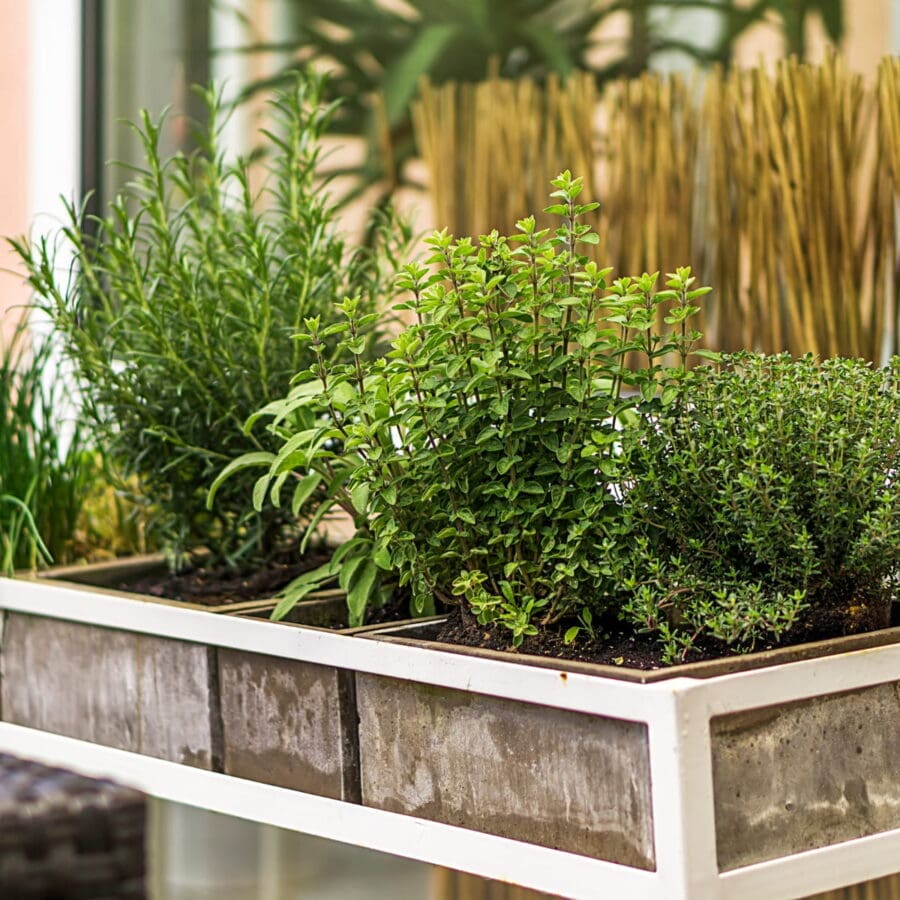 20 Exquisite Garden Planter Ideas to Elevate Your Backyard!