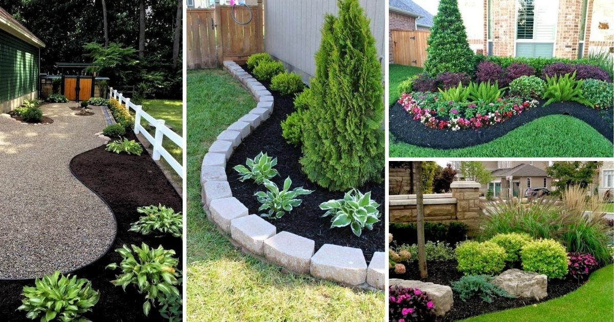 16 Brilliant Black Mulch Landscaping Ideas to Elevate Your Outdoor Space